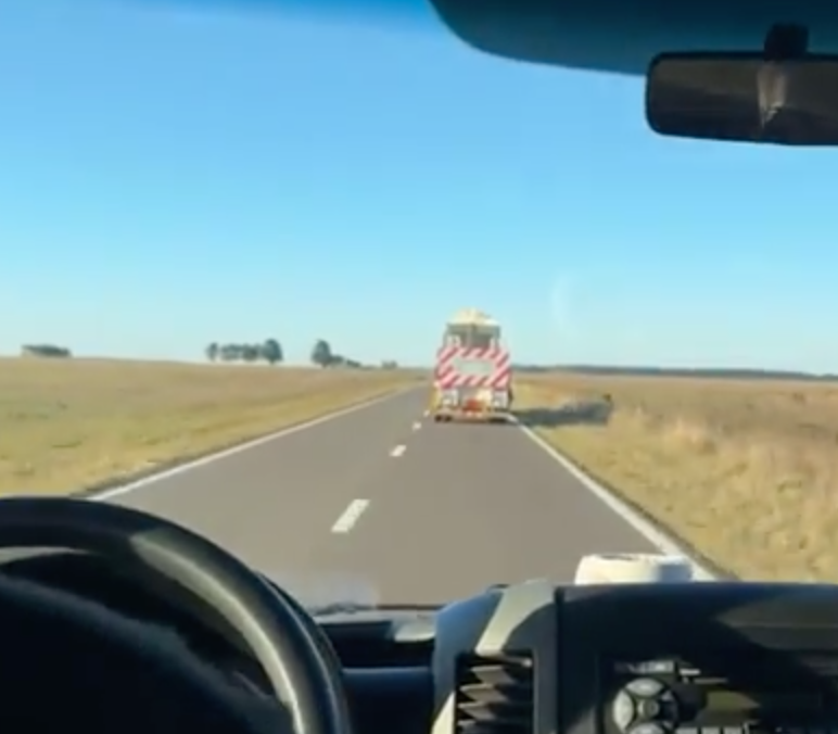 View of a trailer holding the elephant crate on the way to sanctuary